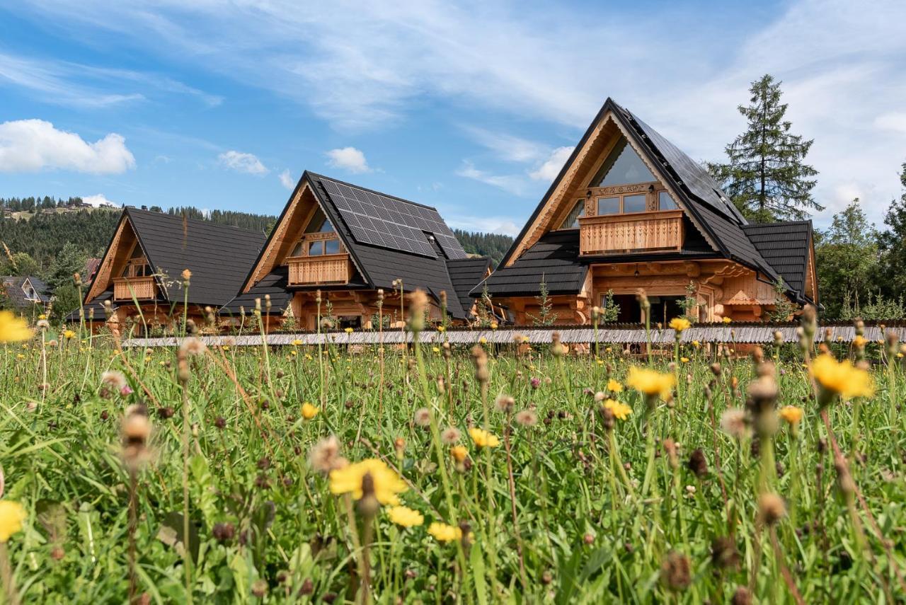 Sniezna Dolina - Sobiczkowa Bor Luxury Chalets Kościelisko Dış mekan fotoğraf
